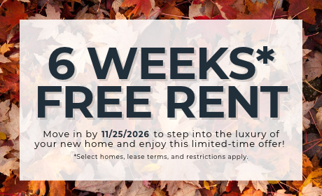image for /shared/images/isabella-court-popup-qy2wewvb.png